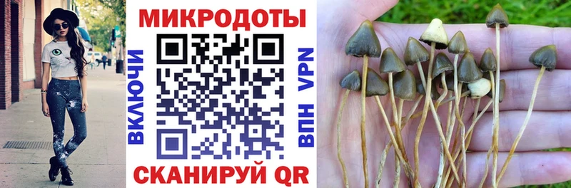 Галлюциногенные грибы прущие грибы  цена   Евпатория 